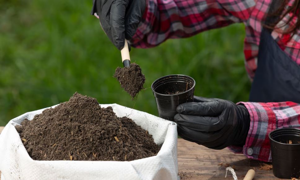 Properly Prepared Soil For Gardening