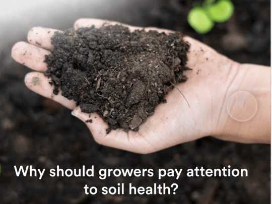 Natural Products from Treated Soil Natural Products from Treated Soil